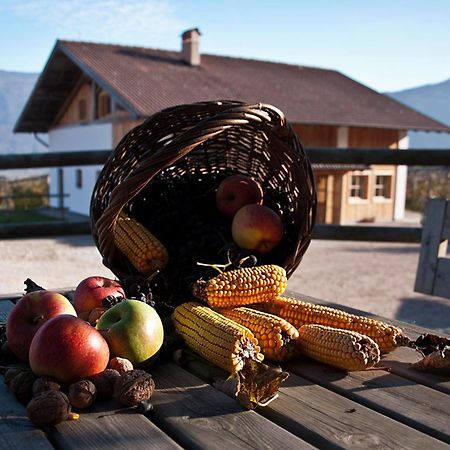 Agritur Maso Pra' Cavai B&B Balbido-rango Ngoại thất bức ảnh