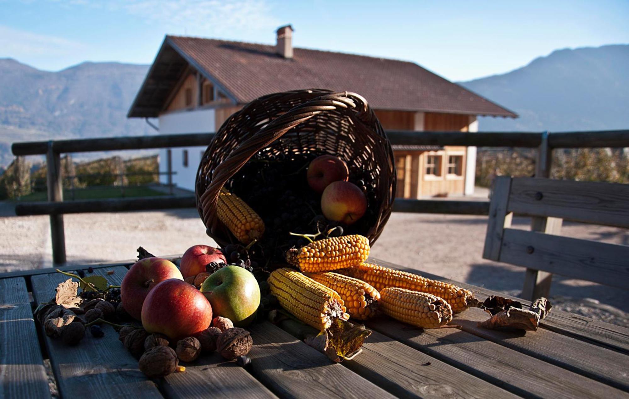 Agritur Maso Pra' Cavai B&B Balbido-rango Ngoại thất bức ảnh