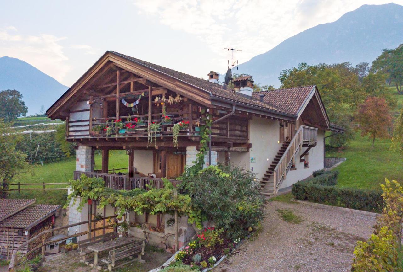 Agritur Maso Pra' Cavai B&B Balbido-rango Ngoại thất bức ảnh